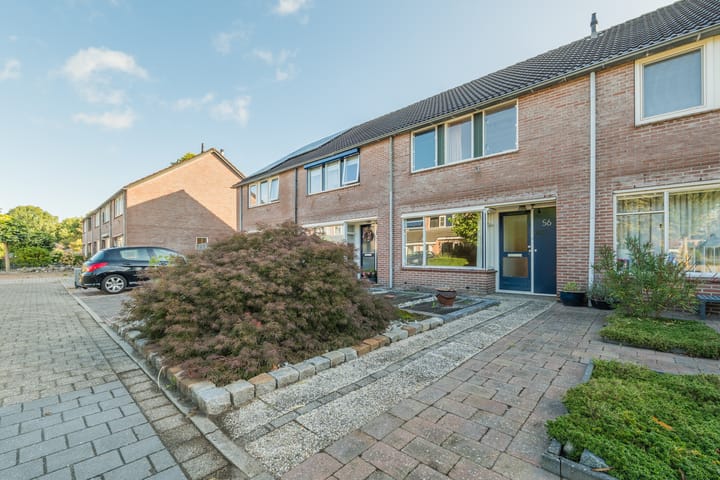 De Koolmees 56 in Vriezenveen Foto