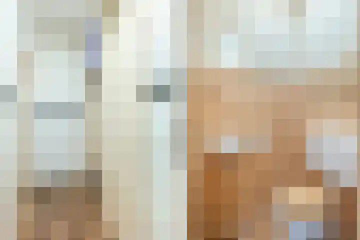 De Koolmees 56 Vriezenveen thumbnail 10