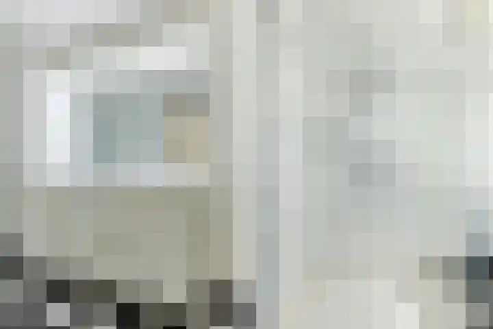 De Koolmees 56 Vriezenveen thumbnail 13