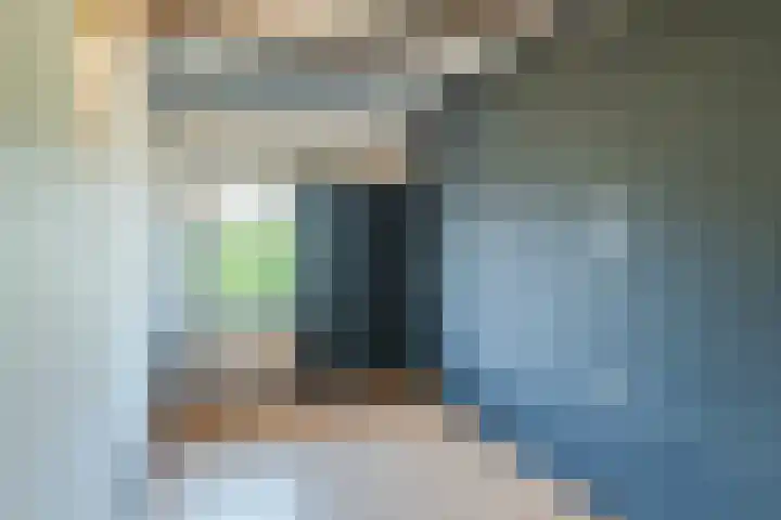 De Koolmees 56 Vriezenveen thumbnail 14