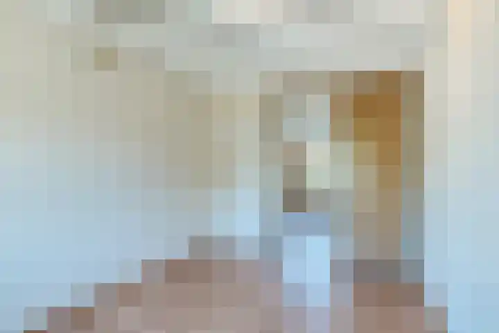 De Koolmees 56 Vriezenveen thumbnail 17