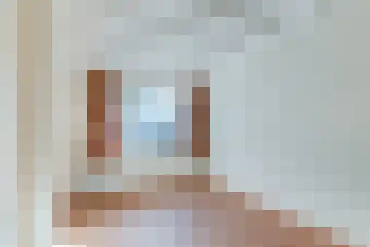 De Koolmees 56 Vriezenveen thumbnail 18