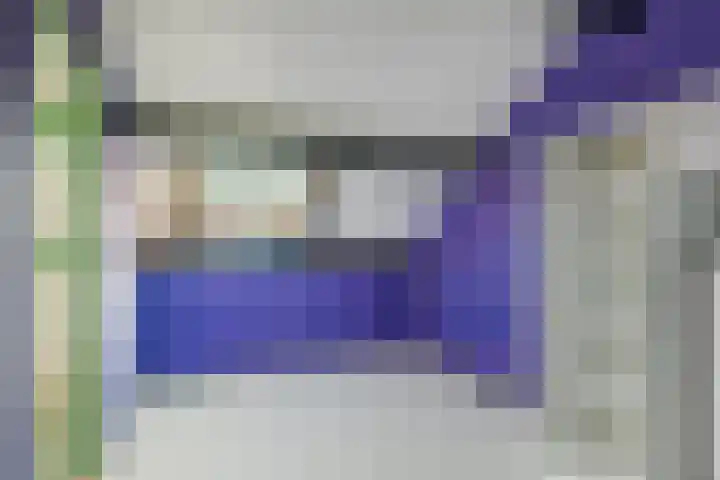 De Koolmees 56 Vriezenveen thumbnail 20