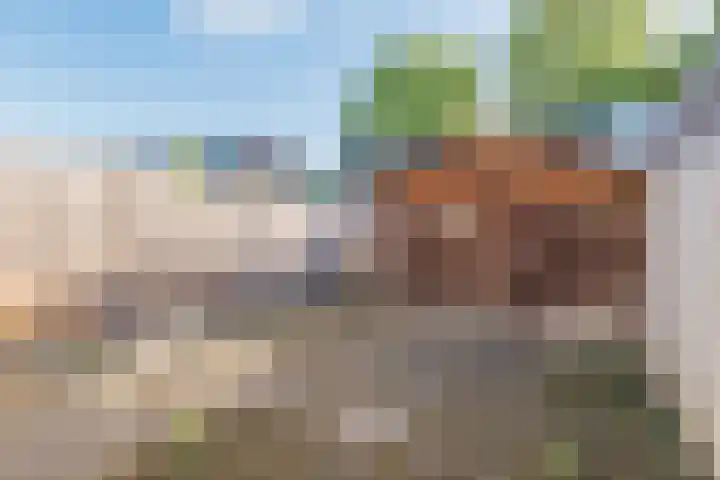 De Koolmees 56 Vriezenveen thumbnail 22