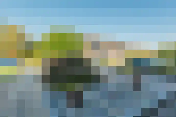 De Koolmees 56 Vriezenveen thumbnail 24