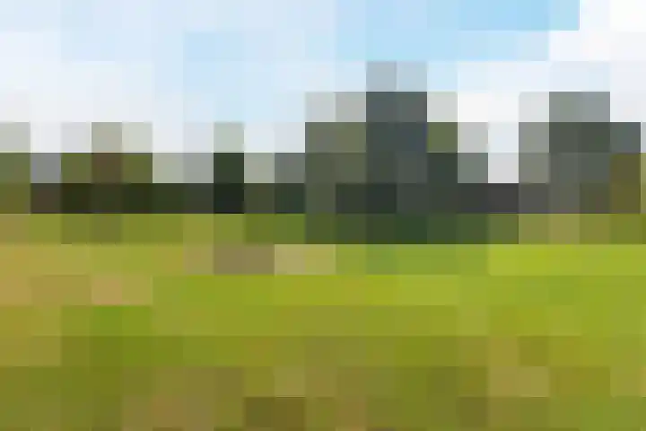 De Koolmees 56 Vriezenveen thumbnail 25
