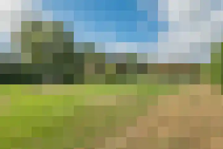 De Koolmees 56 Vriezenveen thumbnail 26