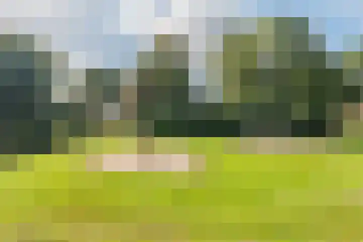 De Koolmees 56 Vriezenveen thumbnail 27