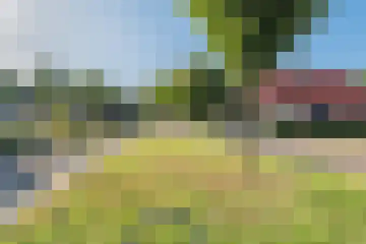 De Koolmees 56 Vriezenveen thumbnail 28