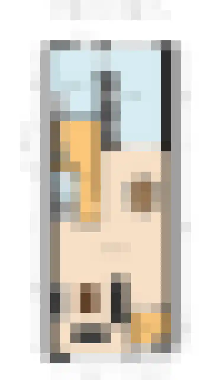 De Koolmees 56 Vriezenveen thumbnail 29