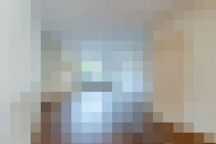 De Koolmees 56 Vriezenveen thumbnail 4