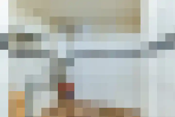 De Koolmees 56 Vriezenveen thumbnail 9