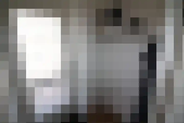 De Koolmees 62 Vriezenveen thumbnail 10
