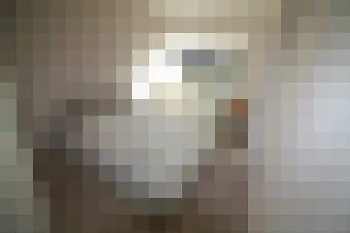 De Koolmees 62 Vriezenveen thumbnail 11