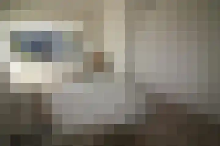 De Koolmees 62 Vriezenveen thumbnail 12