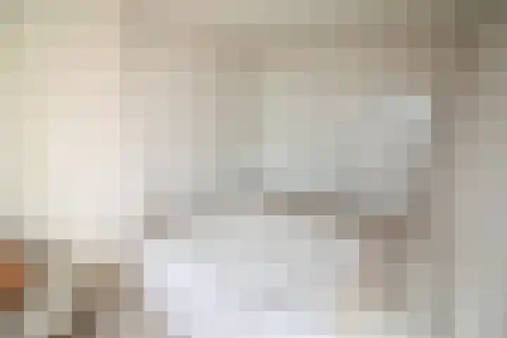 De Koolmees 62 Vriezenveen thumbnail 13