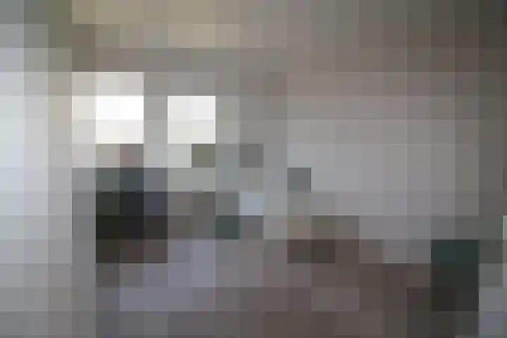De Koolmees 62 Vriezenveen thumbnail 14