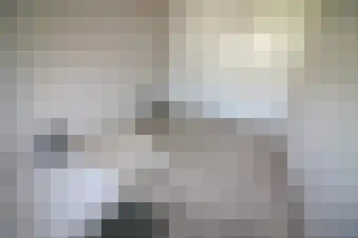 De Koolmees 62 Vriezenveen thumbnail 15