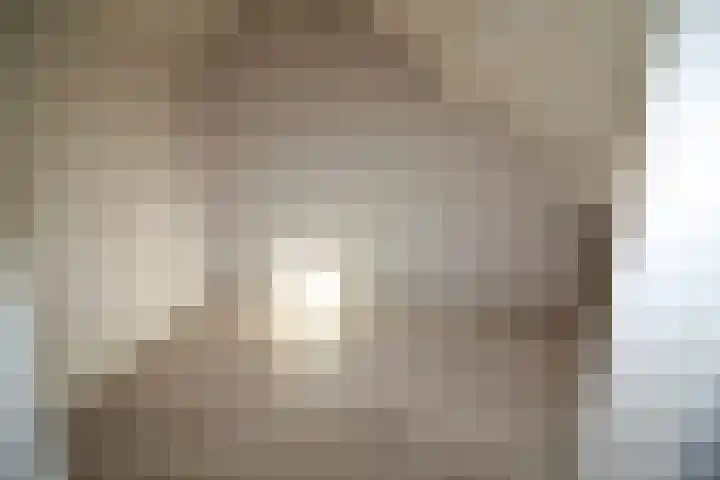 De Koolmees 62 Vriezenveen thumbnail 19