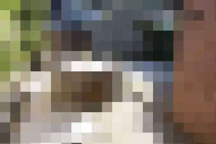 De Koolmees 62 Vriezenveen thumbnail 21