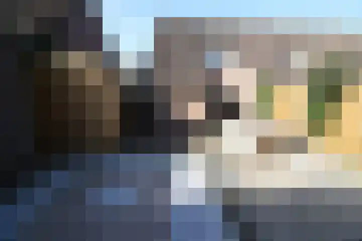 De Koolmees 62 Vriezenveen thumbnail 23