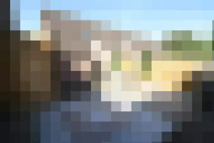 De Koolmees 62 Vriezenveen thumbnail 24