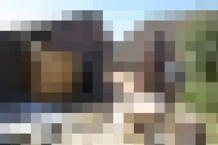De Koolmees 62 Vriezenveen thumbnail 25