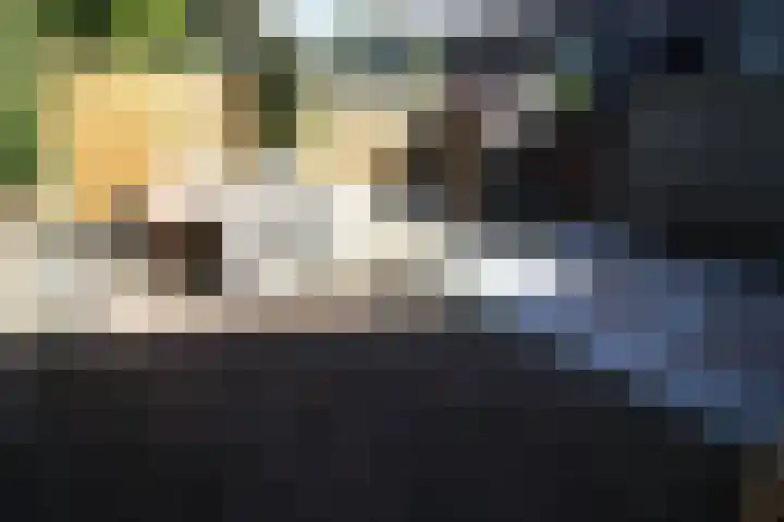 De Koolmees 62 Vriezenveen thumbnail 26