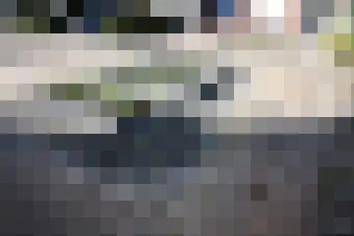 De Koolmees 62 Vriezenveen thumbnail 27