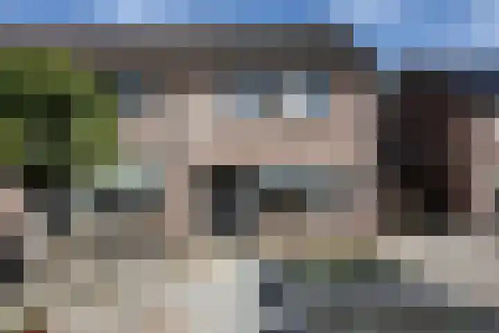 De Koolmees 62 Vriezenveen thumbnail 29
