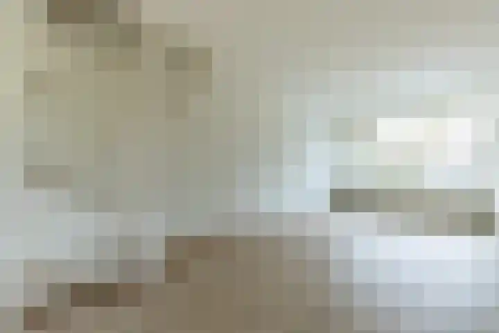 De Koolmees 62 Vriezenveen thumbnail 30