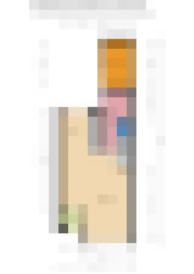 De Koolmees 62 Vriezenveen thumbnail 30