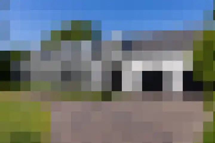 De Koolmees 62 Vriezenveen thumbnail 33