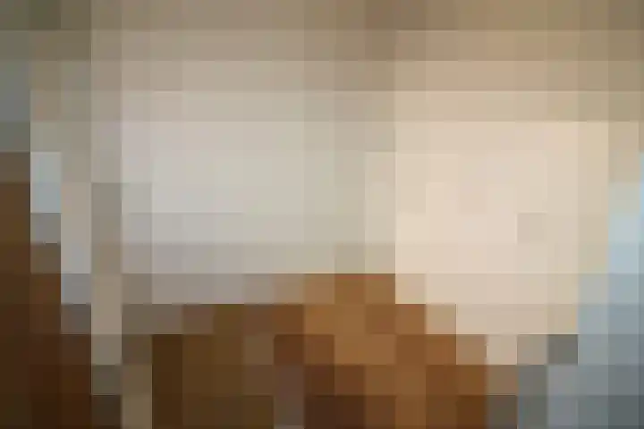 De Koolmees 62 Vriezenveen thumbnail 9