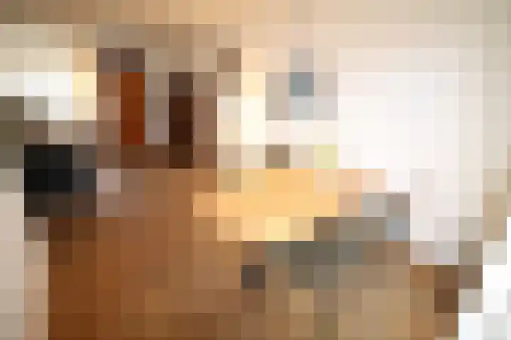 De Koolmees 68 Vriezenveen thumbnail 10