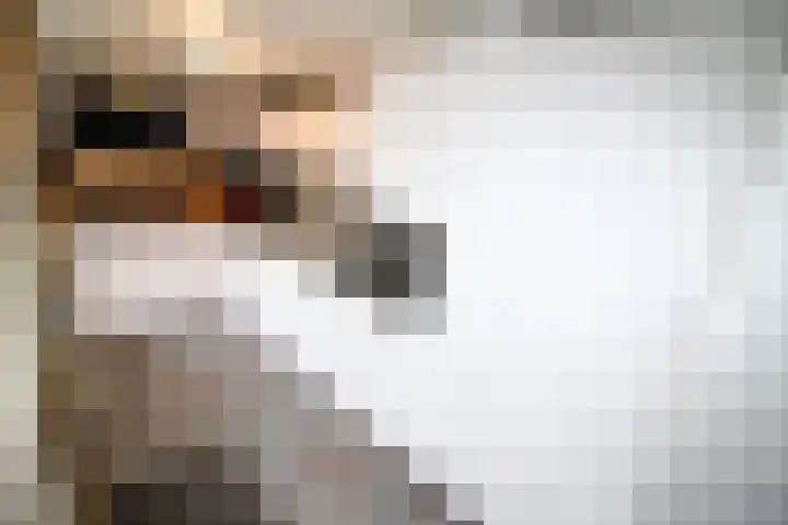 De Koolmees 68 Vriezenveen thumbnail 11