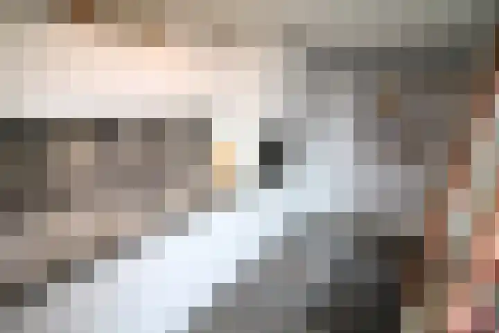 De Koolmees 68 Vriezenveen thumbnail 12