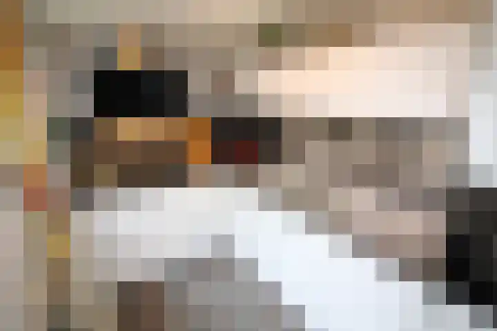 De Koolmees 68 Vriezenveen thumbnail 13