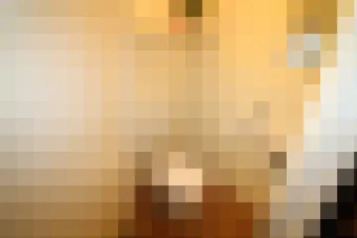 De Koolmees 68 Vriezenveen thumbnail 14