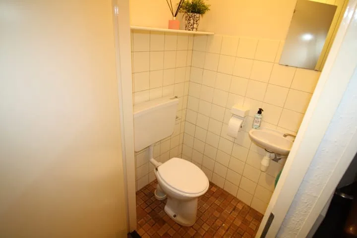 De Koolmees 68 Vriezenveen thumbnail 14