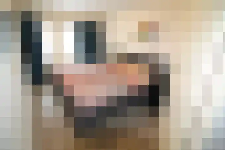 De Koolmees 68 Vriezenveen thumbnail 15