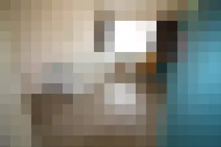 De Koolmees 68 Vriezenveen thumbnail 18