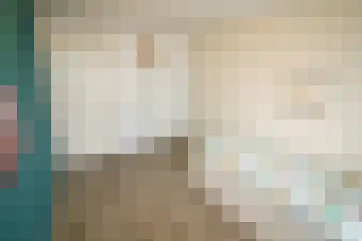 De Koolmees 68 Vriezenveen thumbnail 19