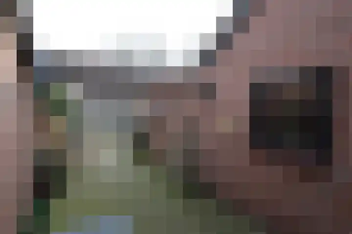 De Koolmees 68 Vriezenveen thumbnail 24