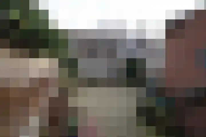 De Koolmees 68 Vriezenveen thumbnail 25