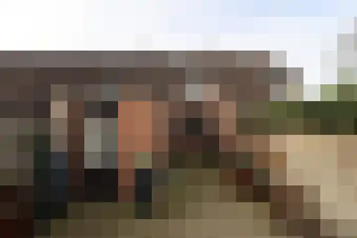 De Koolmees 68 Vriezenveen thumbnail 26