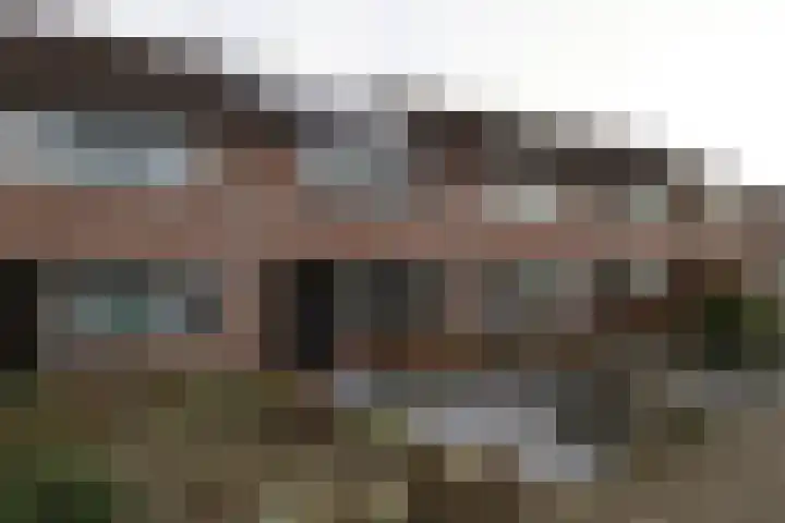 De Koolmees 68 Vriezenveen thumbnail 28