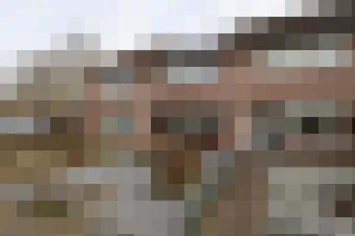De Koolmees 68 Vriezenveen thumbnail 30