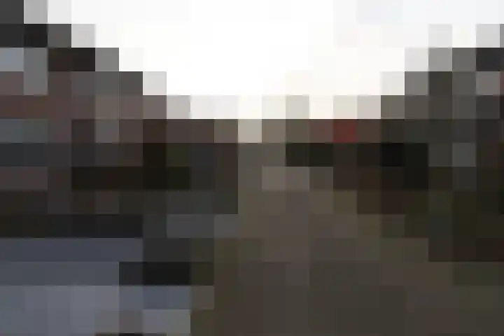 De Koolmees 68 Vriezenveen thumbnail 31