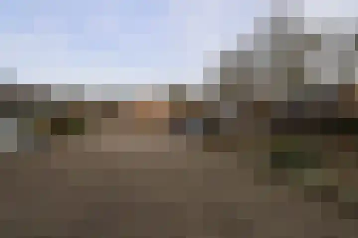 De Koolmees 68 Vriezenveen thumbnail 32